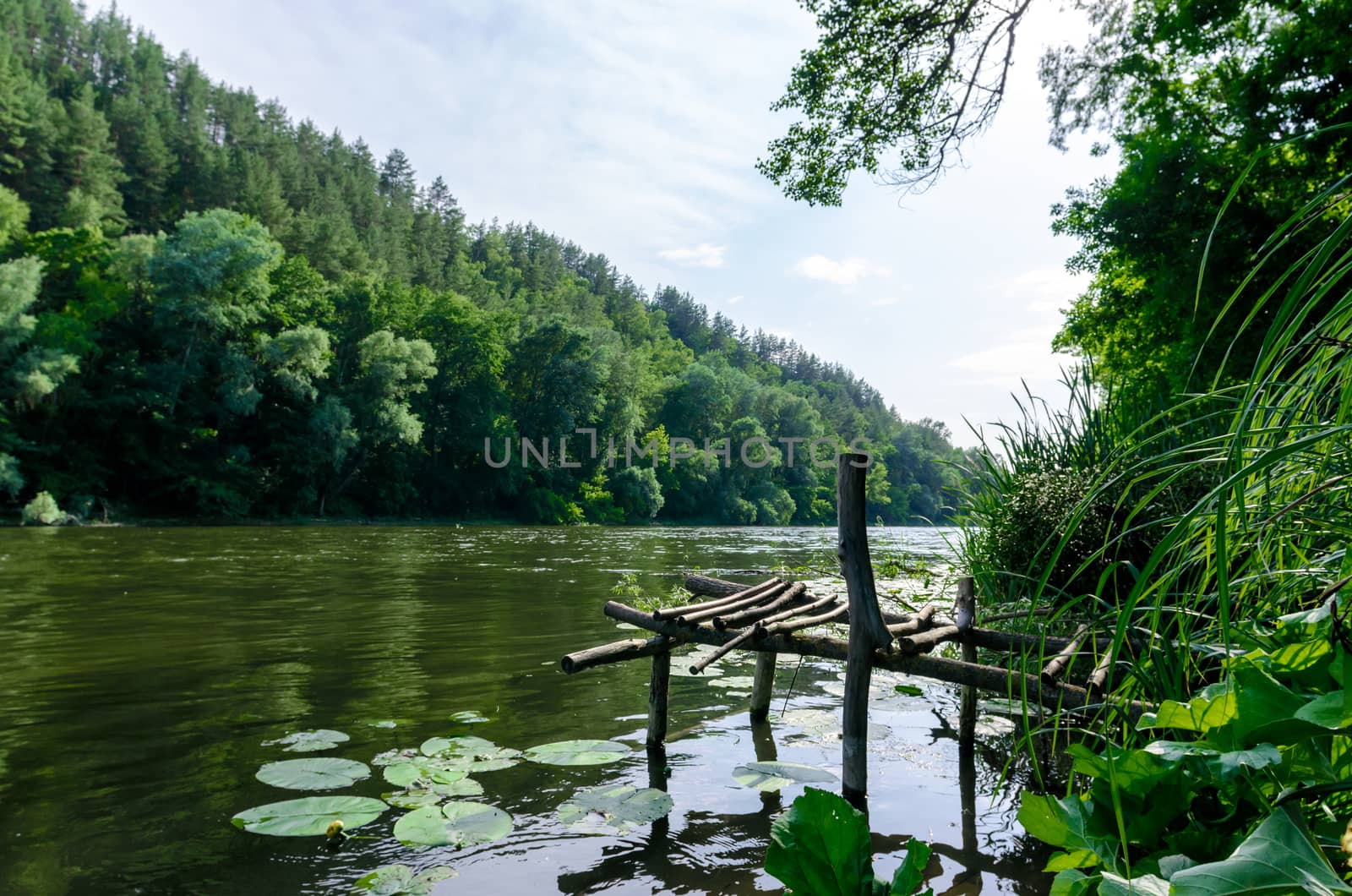 river and green forest on a mountain without people landscape Ukraine