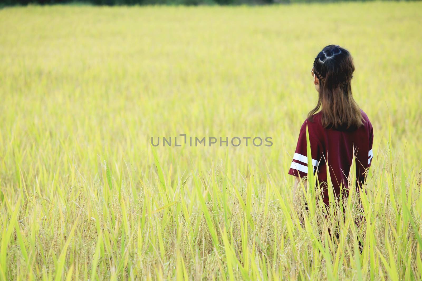 The woman stood back against the view in the middle of the rice field.