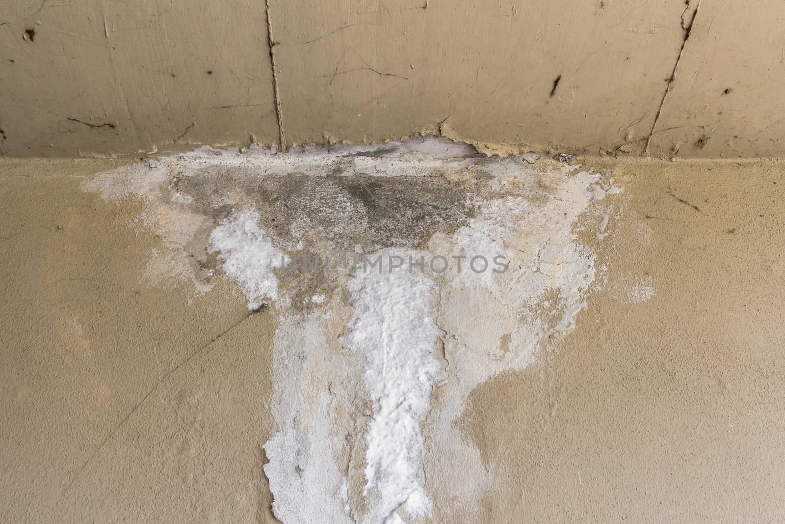 Old peeled wall with mold. Vintage background.