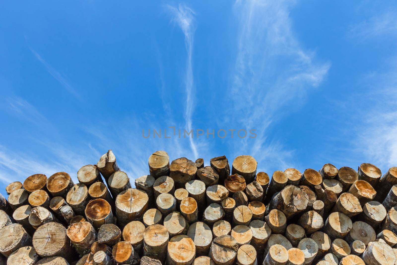 Many sawed pine logs stacked in a pile under cloudy sky. Front view close-up.