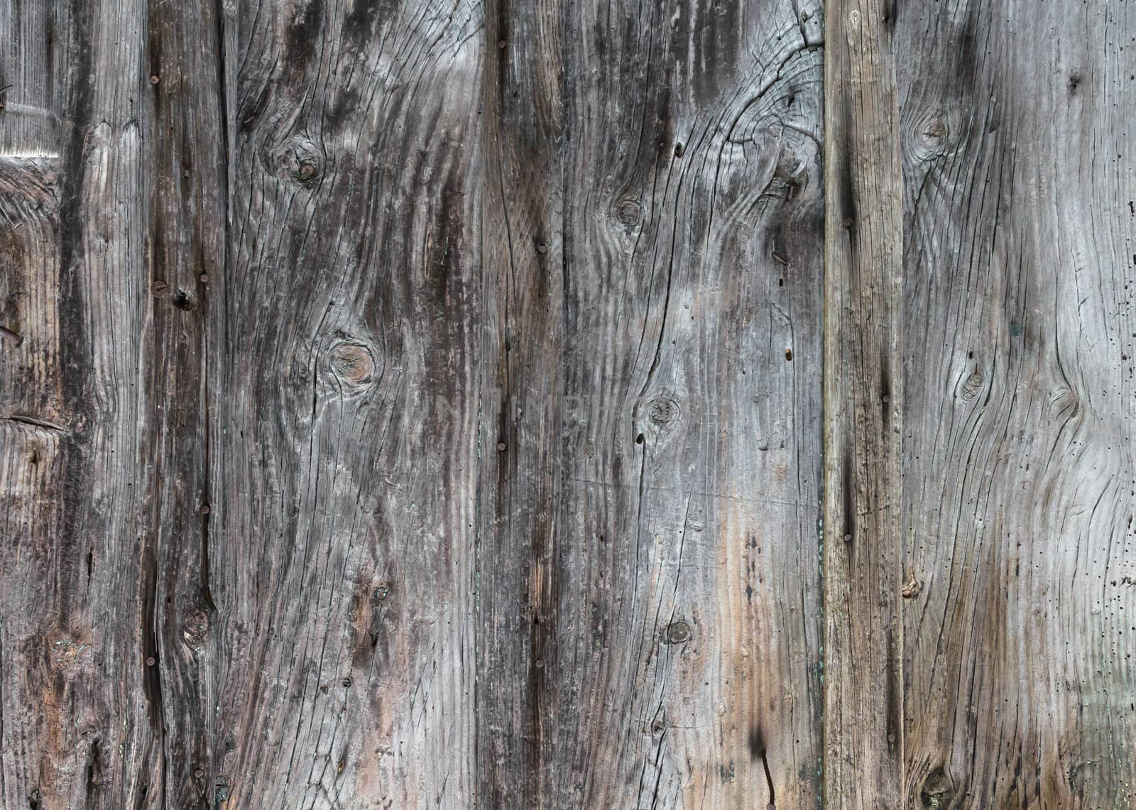 Wood plank texture for your background