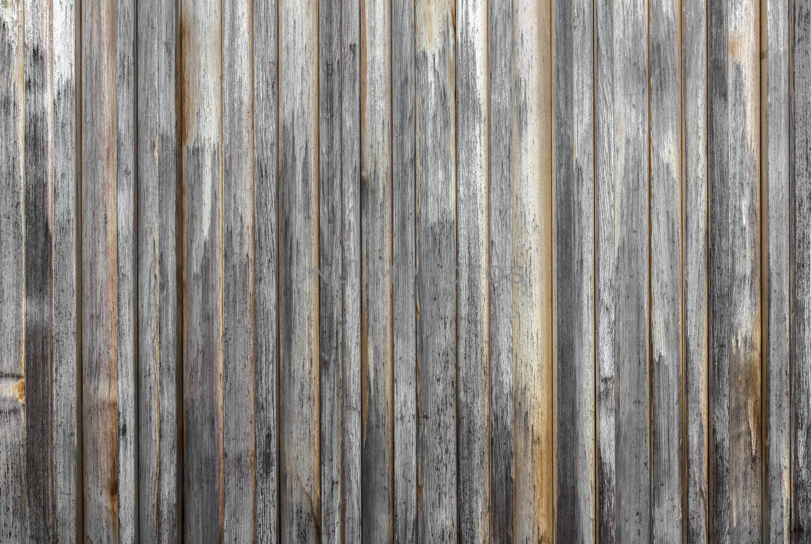 Wooden texture background by germanopoli