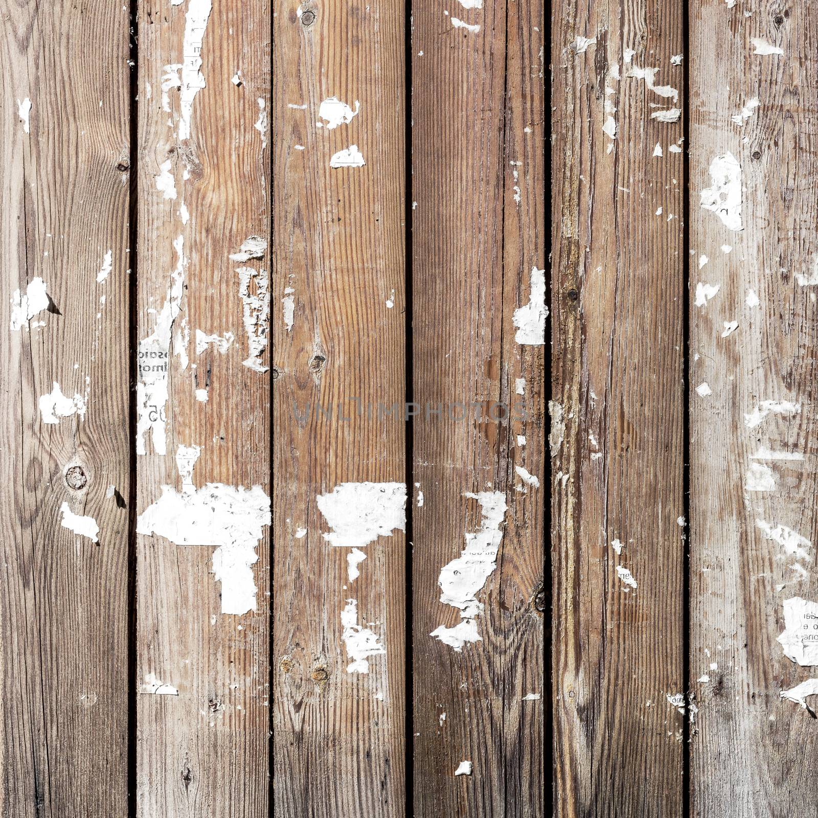 old wood background by germanopoli