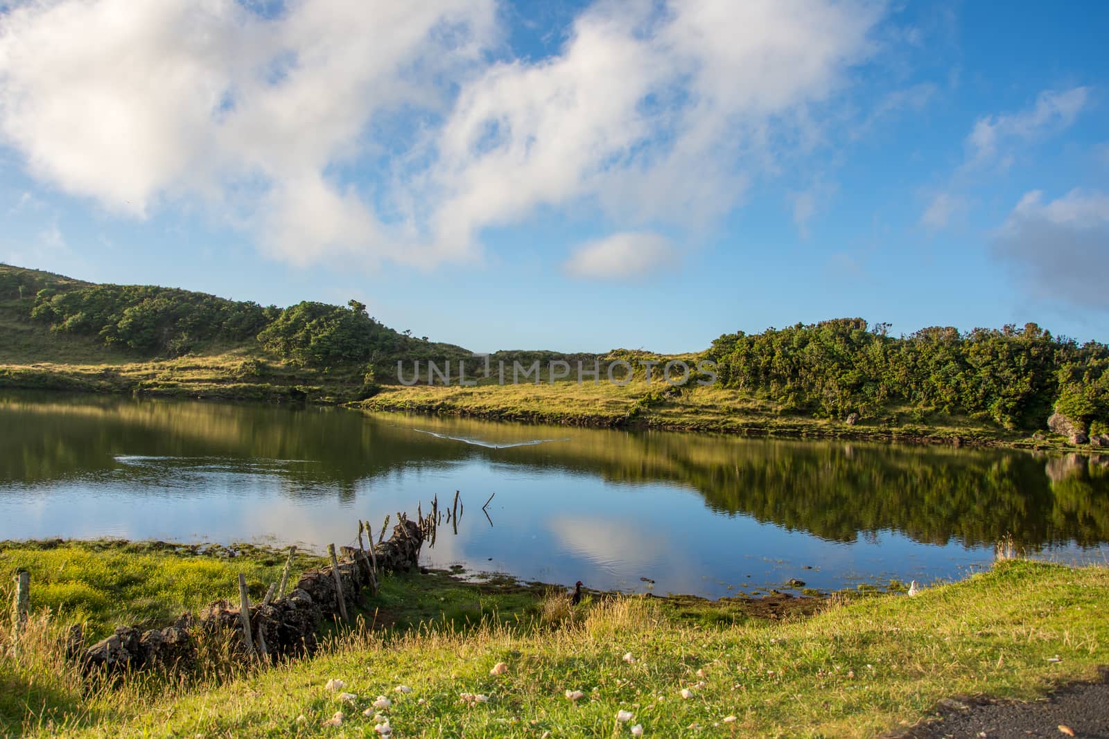 Walk on the Azores archipelago. Discovery of the island of Pico, Azores. Portugal. Madalena