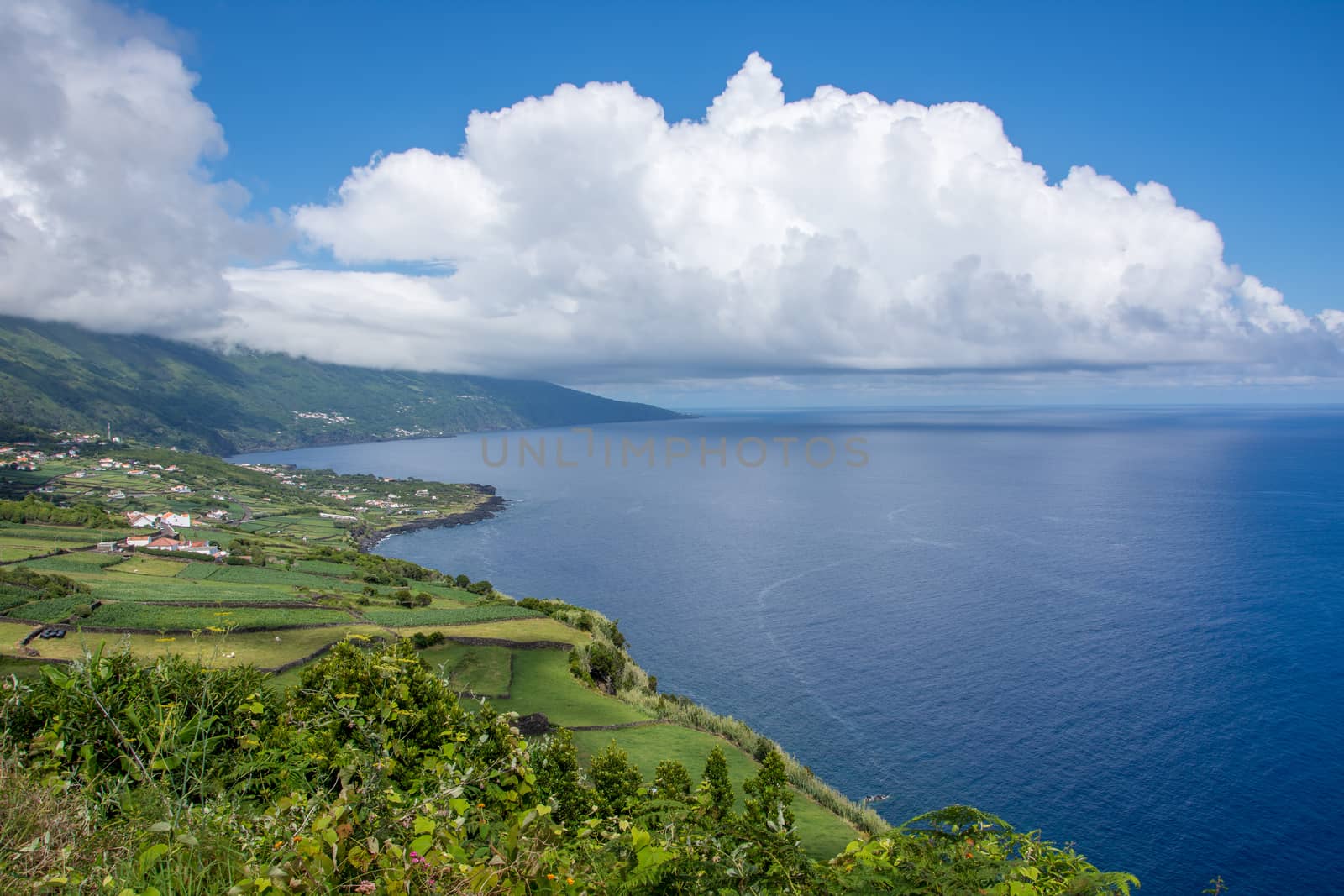 Walk on the Azores archipelago. Discovery of the island of Pico, Azores. Portugal. Madalena