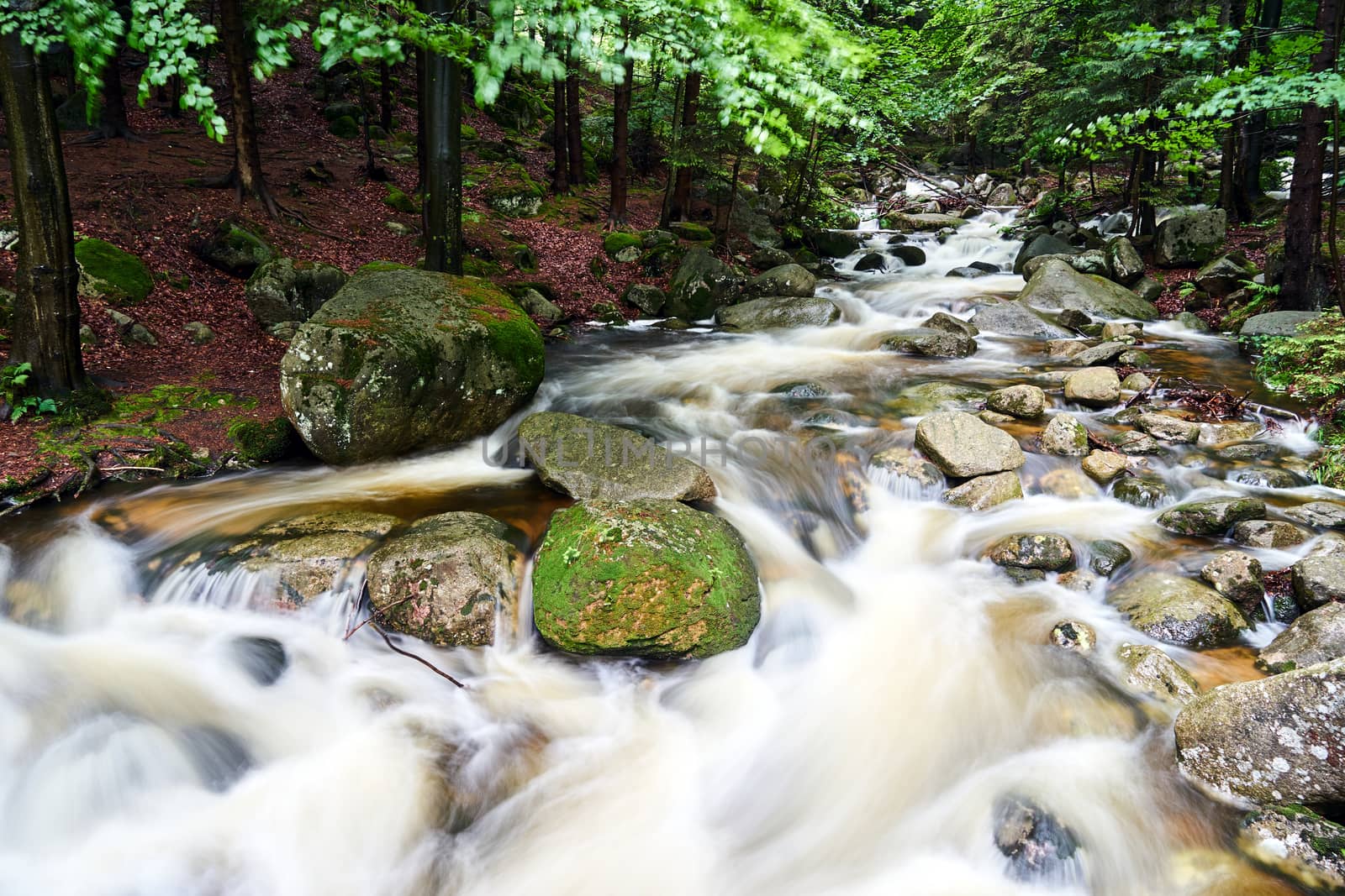 Rocks and boulders in the mountain stream in the forest in the Giant Mountains in Poland