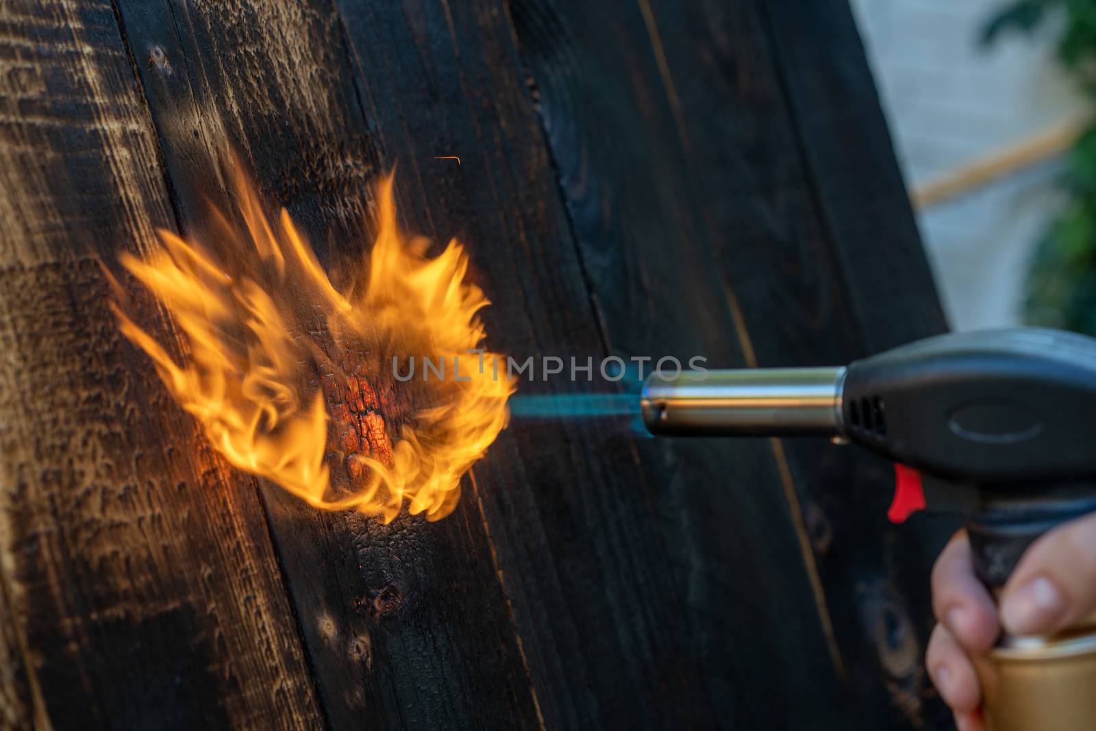 Professional carpenter using old traditional japanese technique. Burning wood planks with gas burner. DIY process.