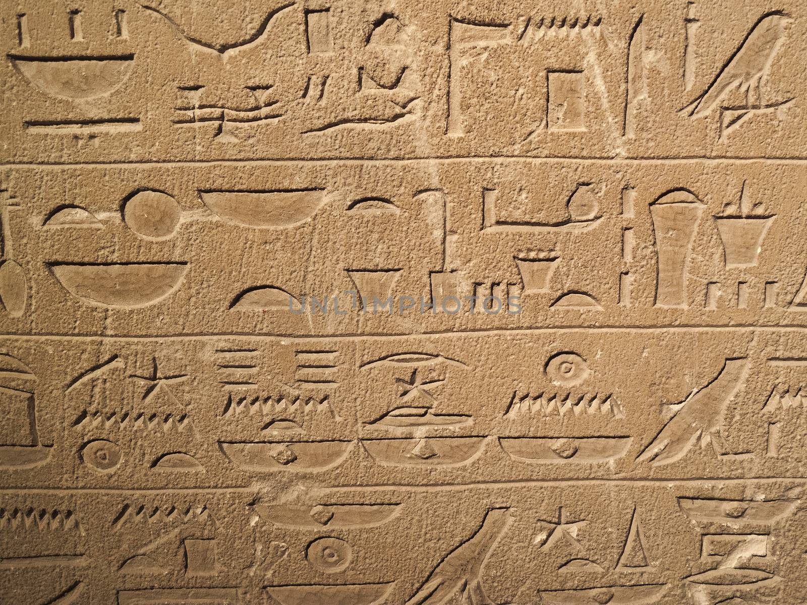 Ancient Egypt tomb hieroglyphs by ant