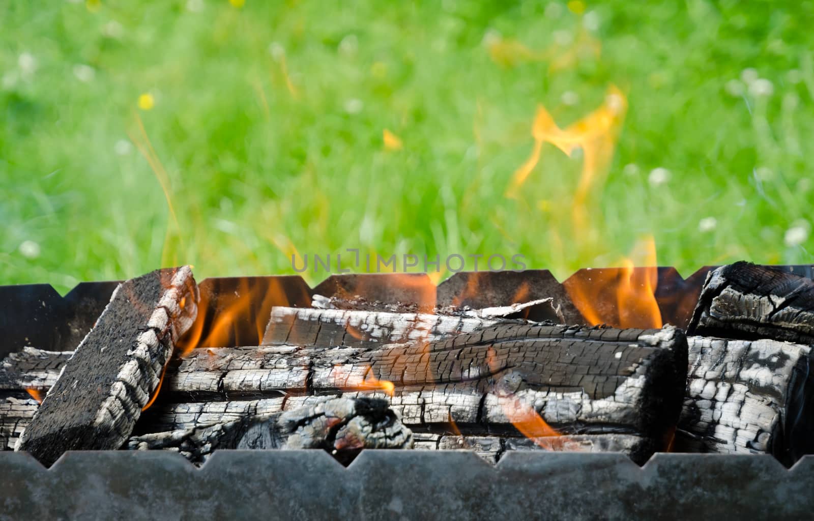 Close up view of the fire tongues and firewoods in the barbecue on a green garden grass