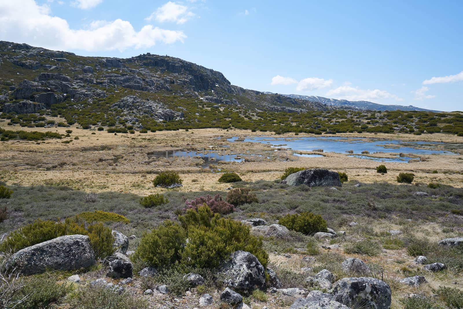 Landscape in Lagoa Seca Serra da Estrela, Portugal by Luispinaphotography