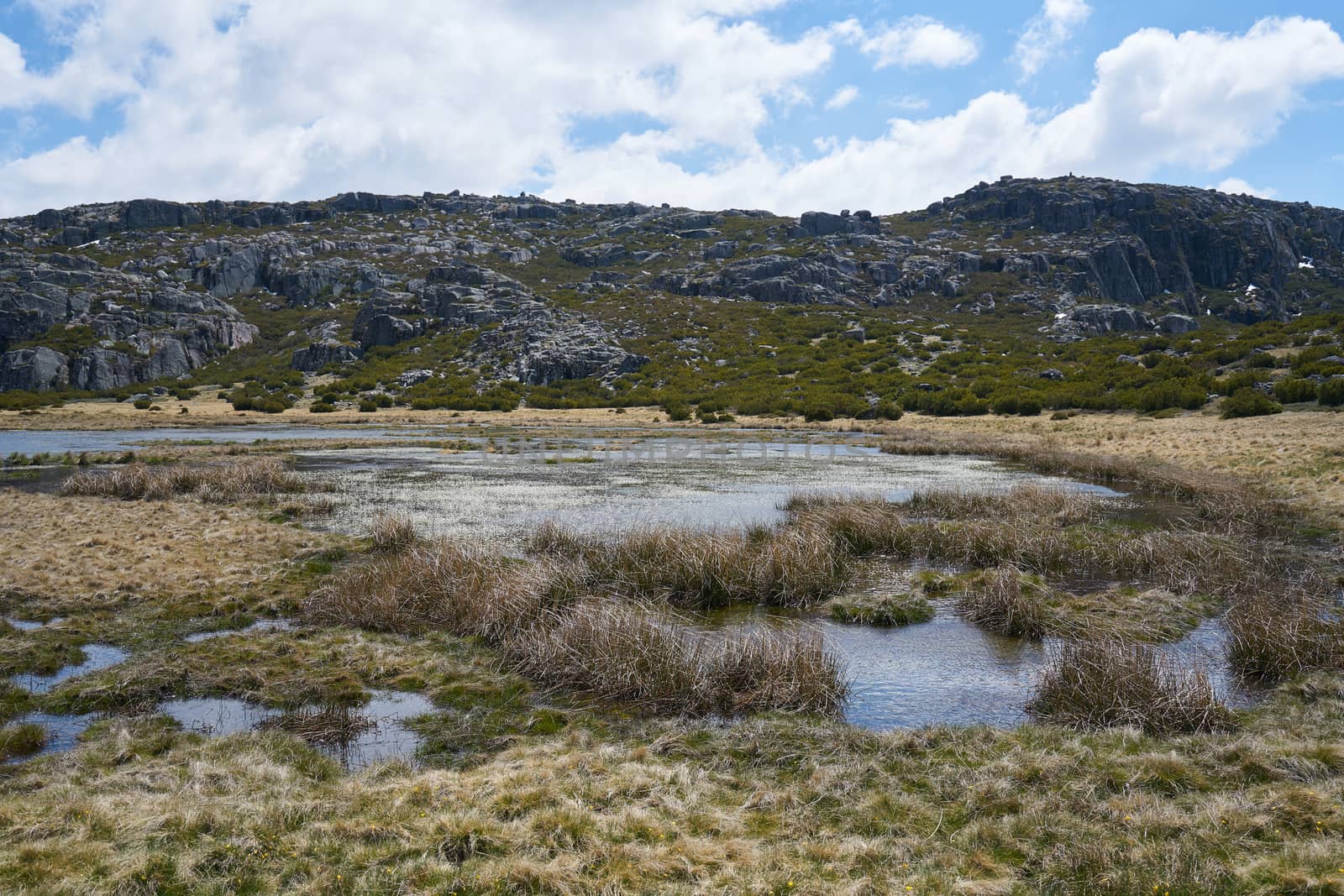 Landscape in Lagoa Seca Serra da Estrela, Portugal