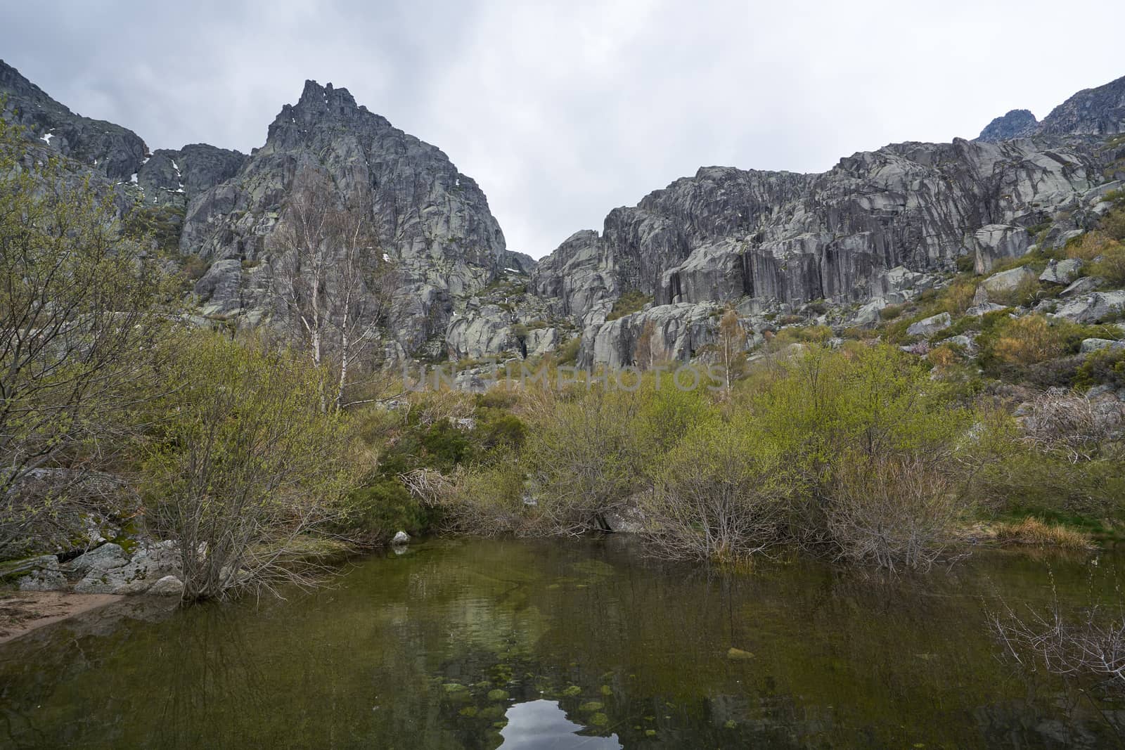 Landscape mountains and trees in Covao d ametade in Serra da Estrela, Portugal by Luispinaphotography