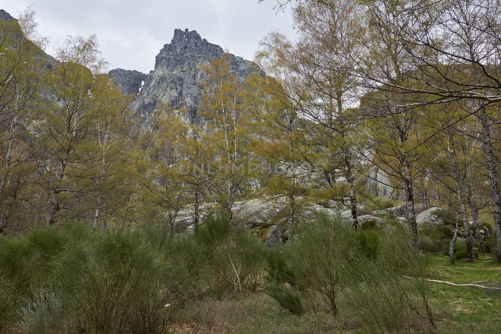 Landscape mountains and trees in Covao d ametade in Serra da Estrela, Portugal by Luispinaphotography