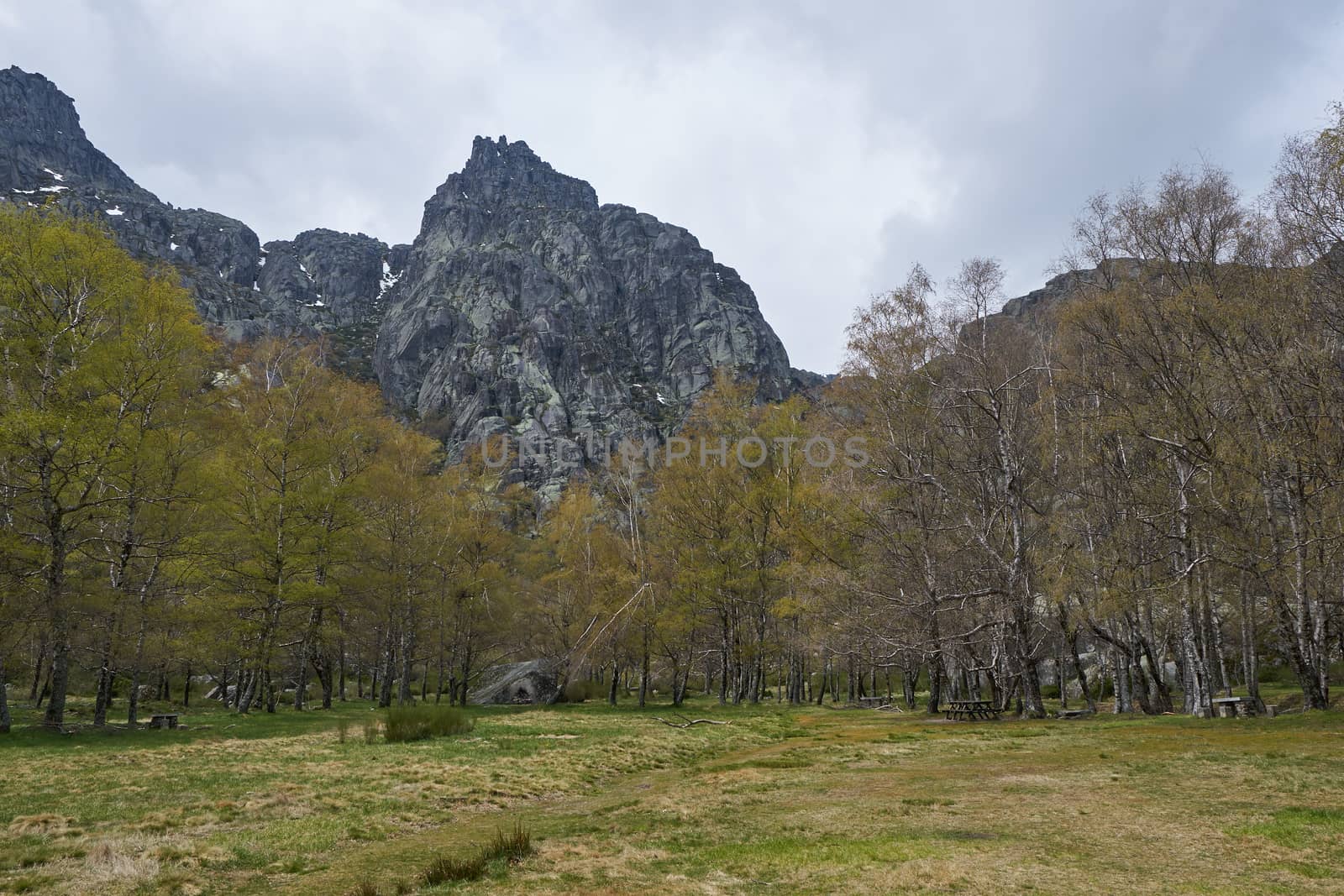 Landscape mountains and trees in Covao d ametade in Serra da Estrela, Portugal