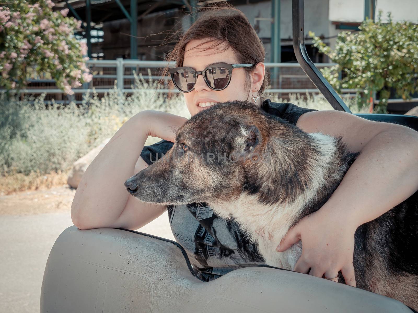 Caucasian woman is holding her dog while traveling. They riding in an electric golf cart in the nature of northern Israel on summer sunny day. Mixed breed dog with cropped ears.