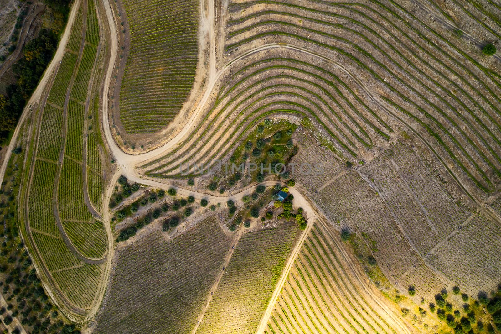 Douro wine valley region drone aerial top view, in Portugal