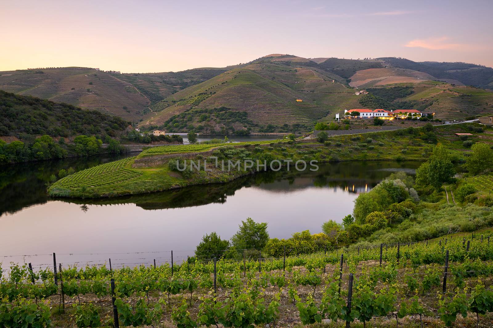 Douro wine valley region s shape bend river in Quinta do Tedo at sunset, in Portugal