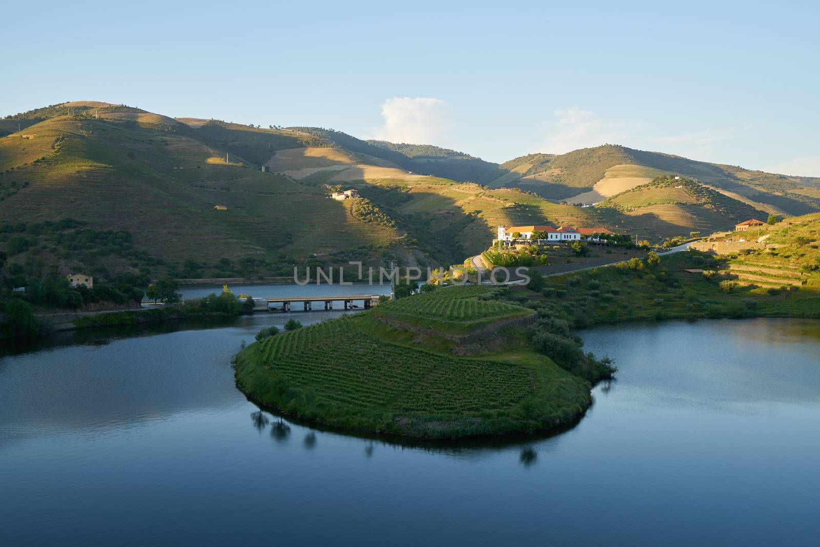 Douro wine valley region s shape bend river in Quinta do Tedo at sunset, in Portugal by Luispinaphotography