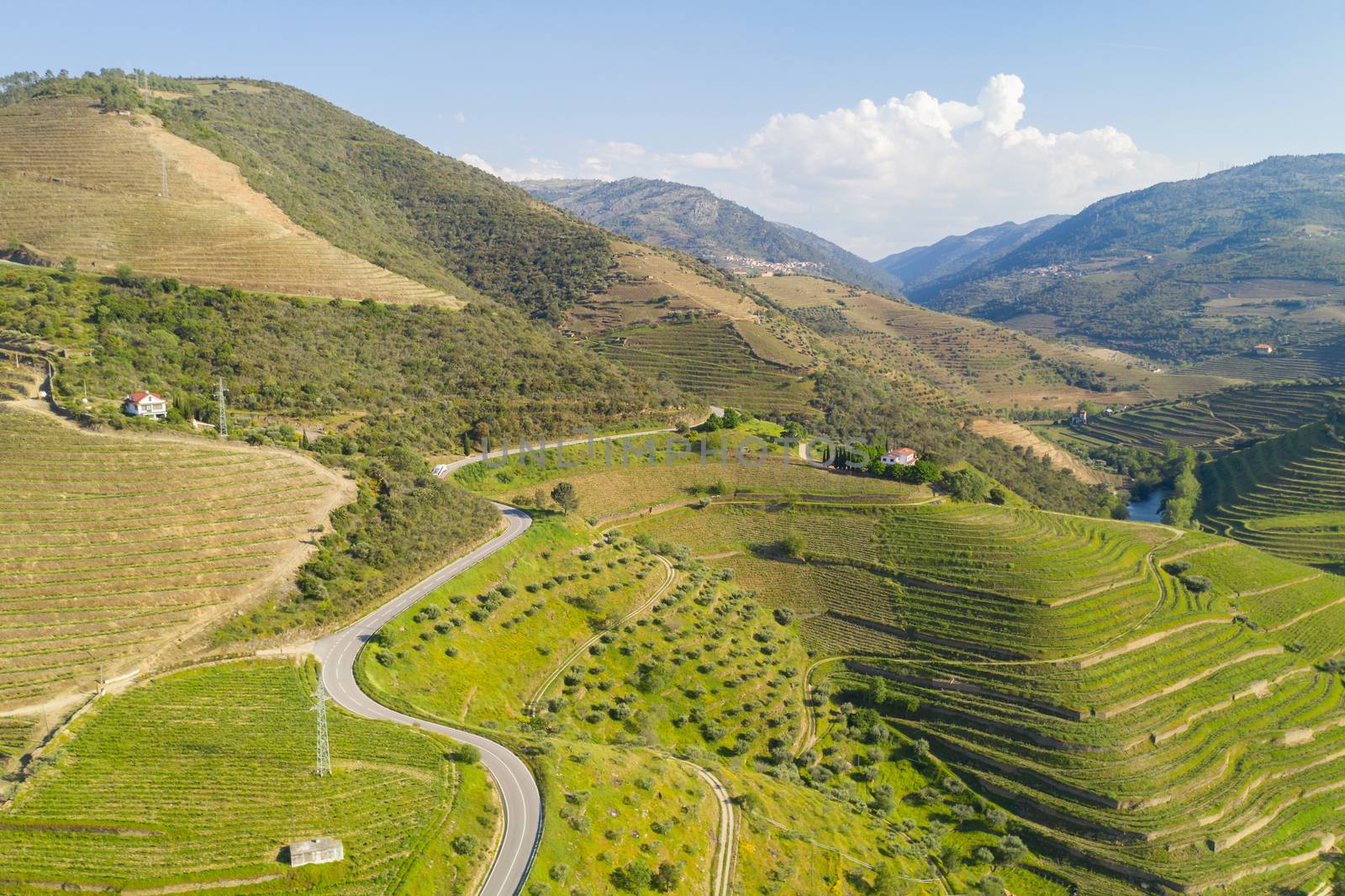 Douro river wine valley region drone aerial view, in Portugal by Luispinaphotography