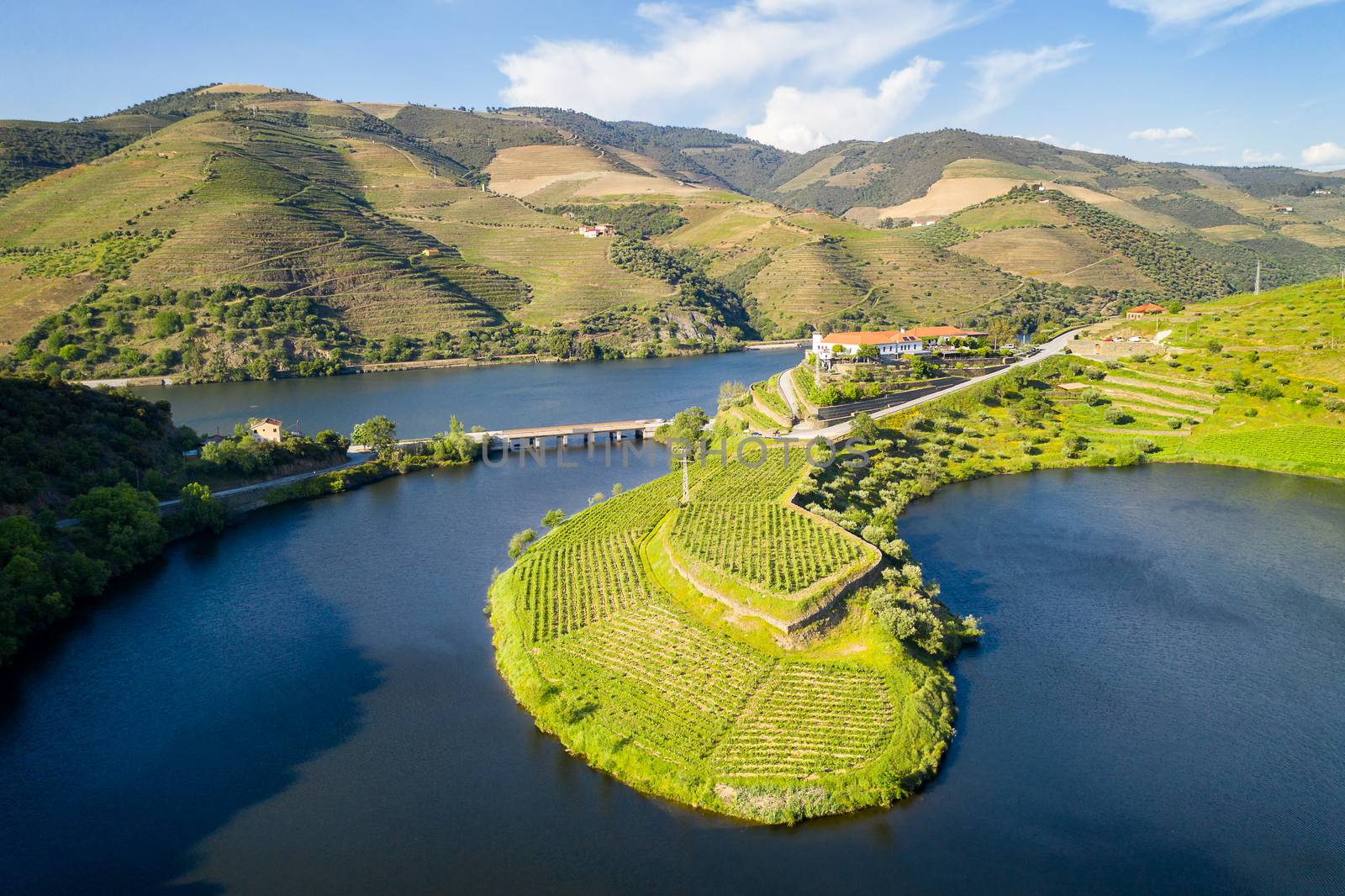 Douro wine valley region drone aerial view of s shape bend river in Quinta do Tedo at sunset, in Portugal by Luispinaphotography