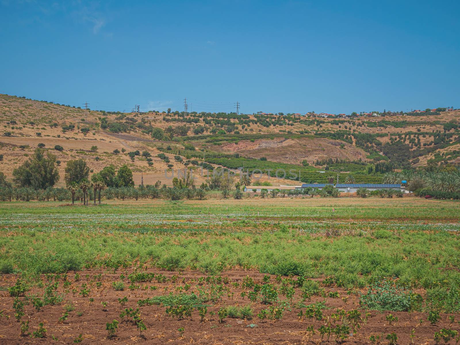 Landscape of country area of northern Israel. In the background, there are houses and electricity poles on the mountains and warehouses with solar panels near green agricultural fields in the valley.
