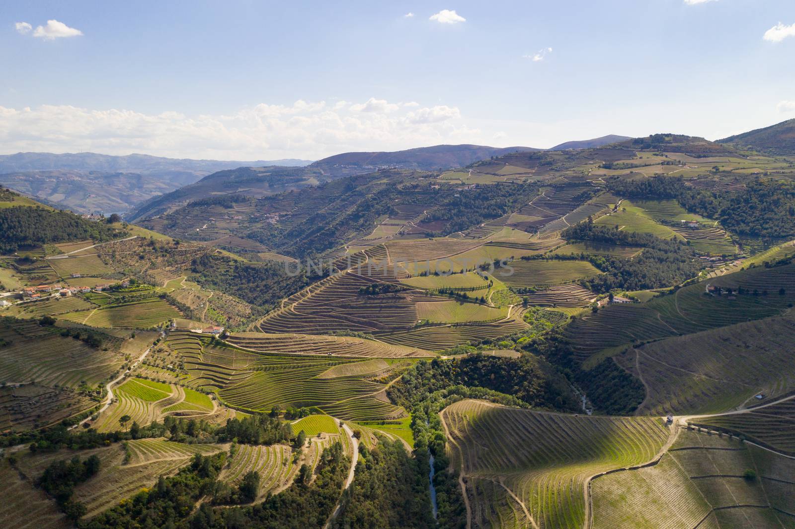 Douro river wine valley region drone aerial view, in Portugal