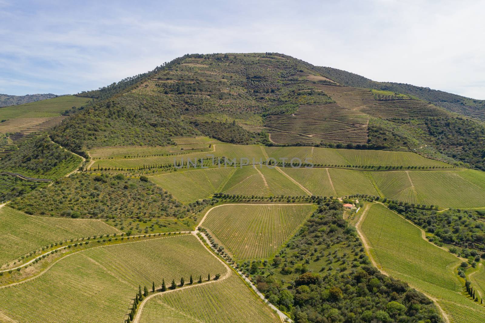 Douro river wine valley region drone aerial view, in Portugal by Luispinaphotography