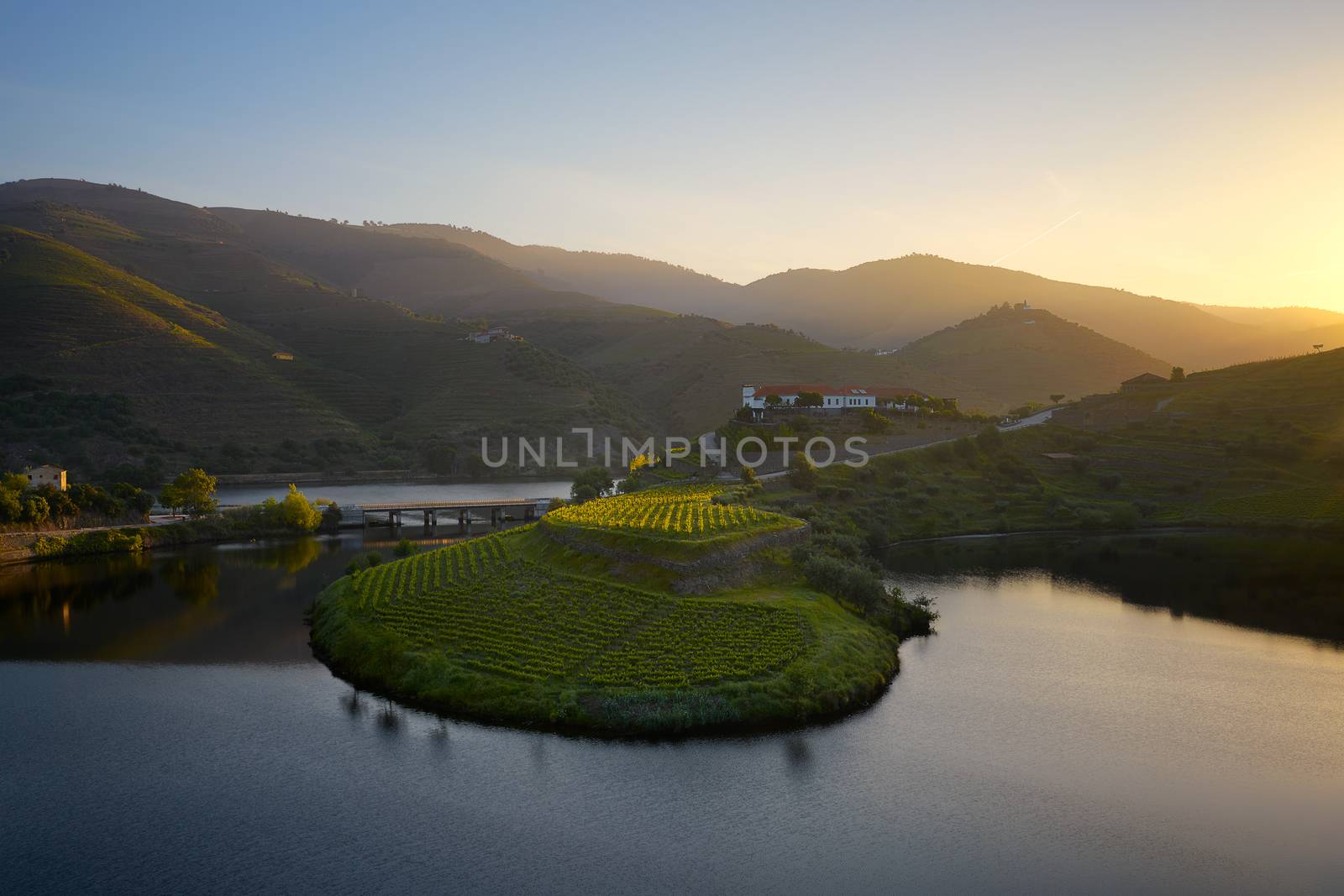 Douro wine valley region s shape bend river in Quinta do Tedo at sunset, in Portugal by Luispinaphotography