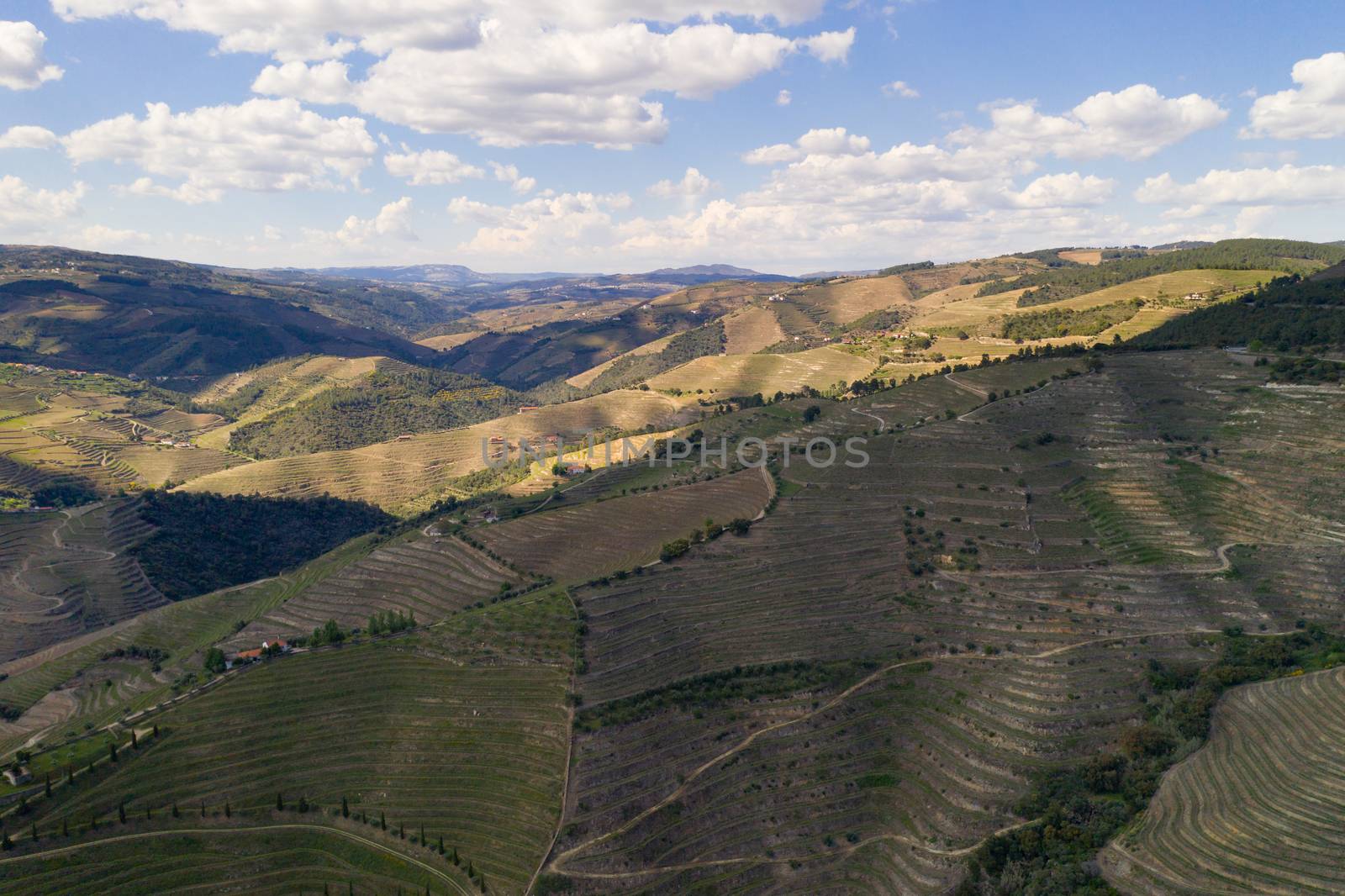 Douro river wine valley region drone aerial view, in Portugal