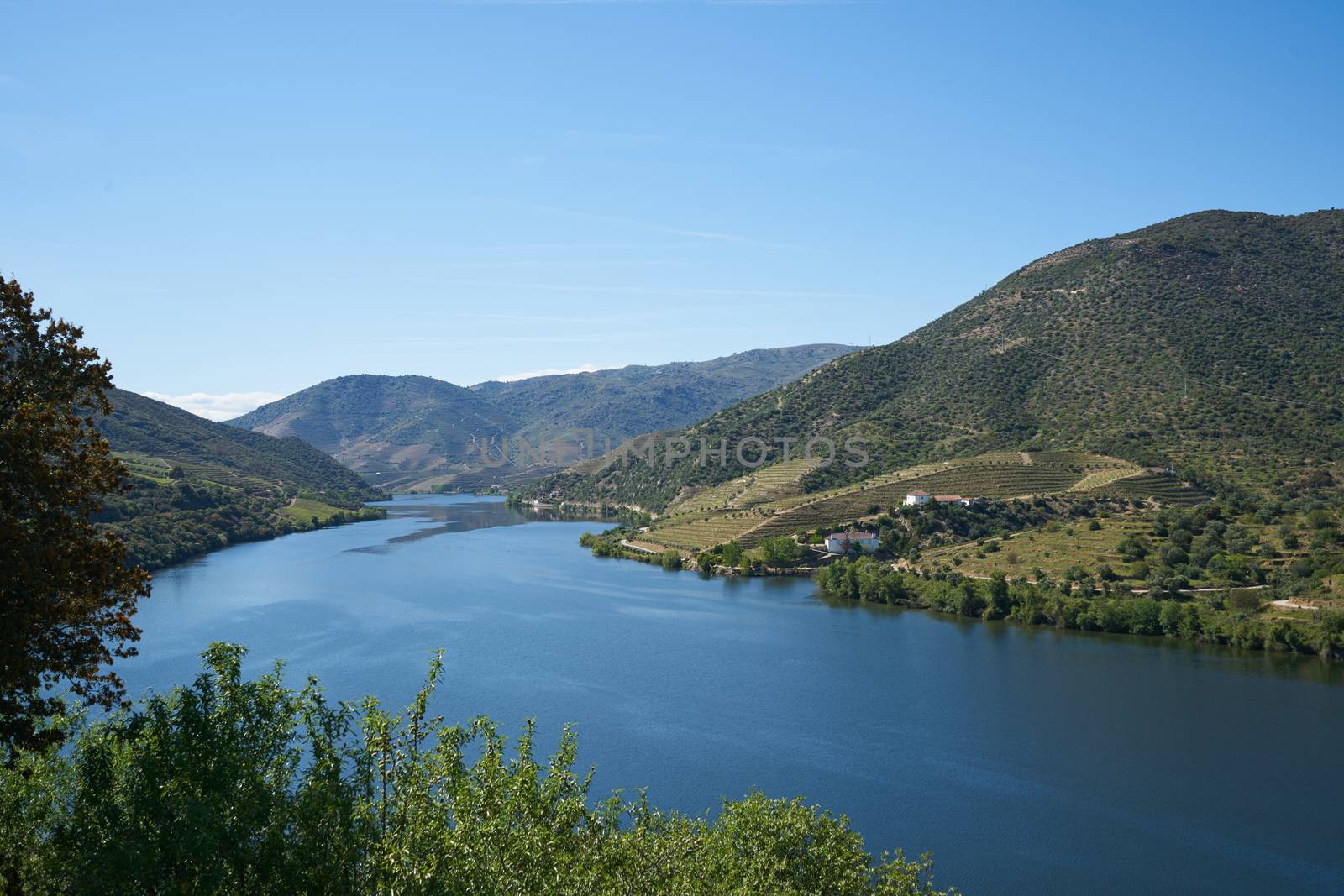 Douro river wine valley region in Portugal