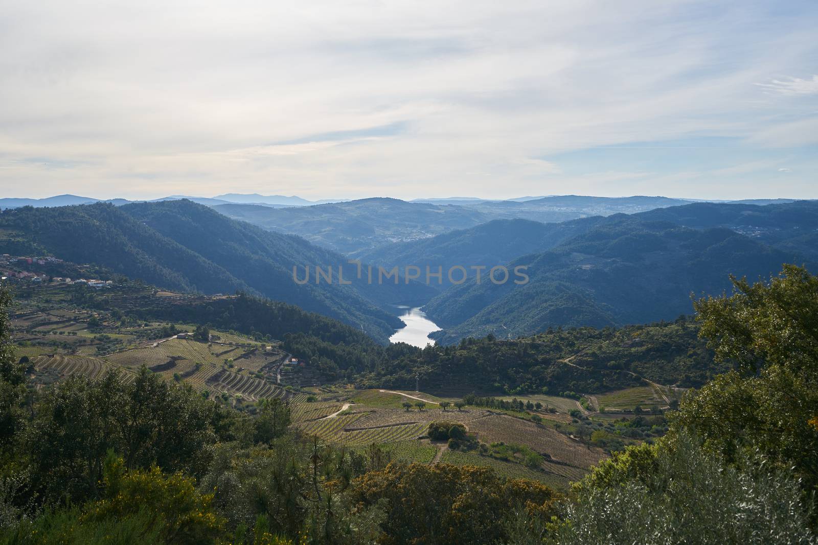 Douro river wine valley region in Portugal