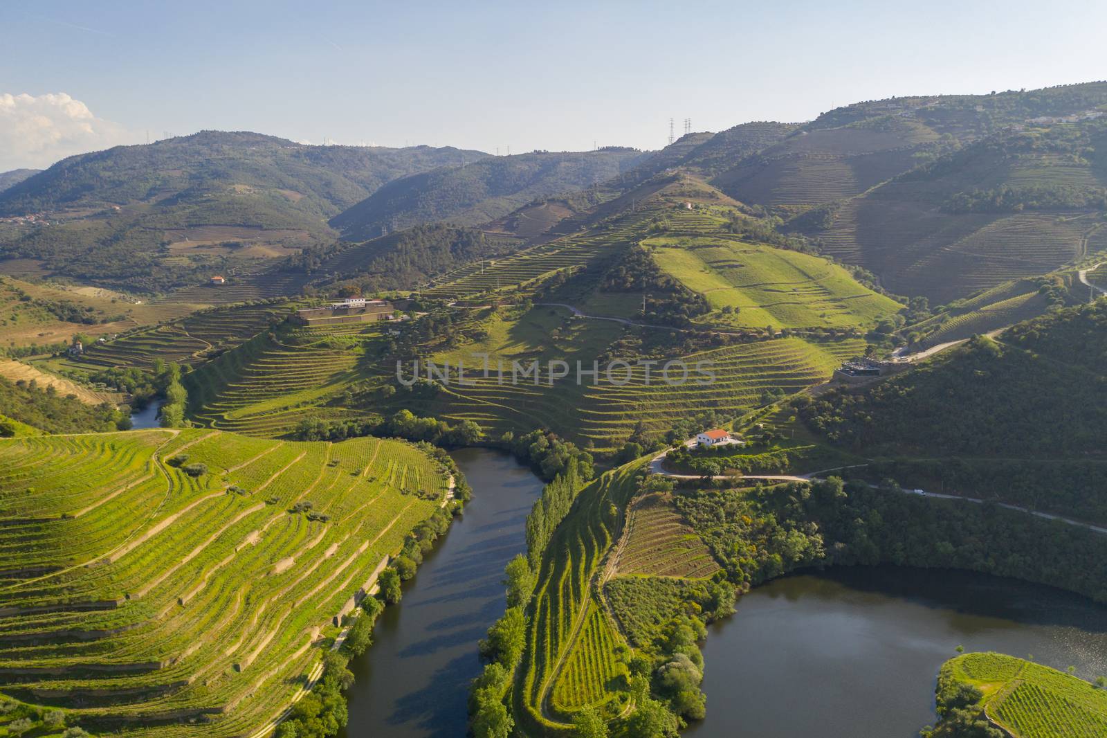 Douro river wine valley region drone aerial view, in Portugal by Luispinaphotography