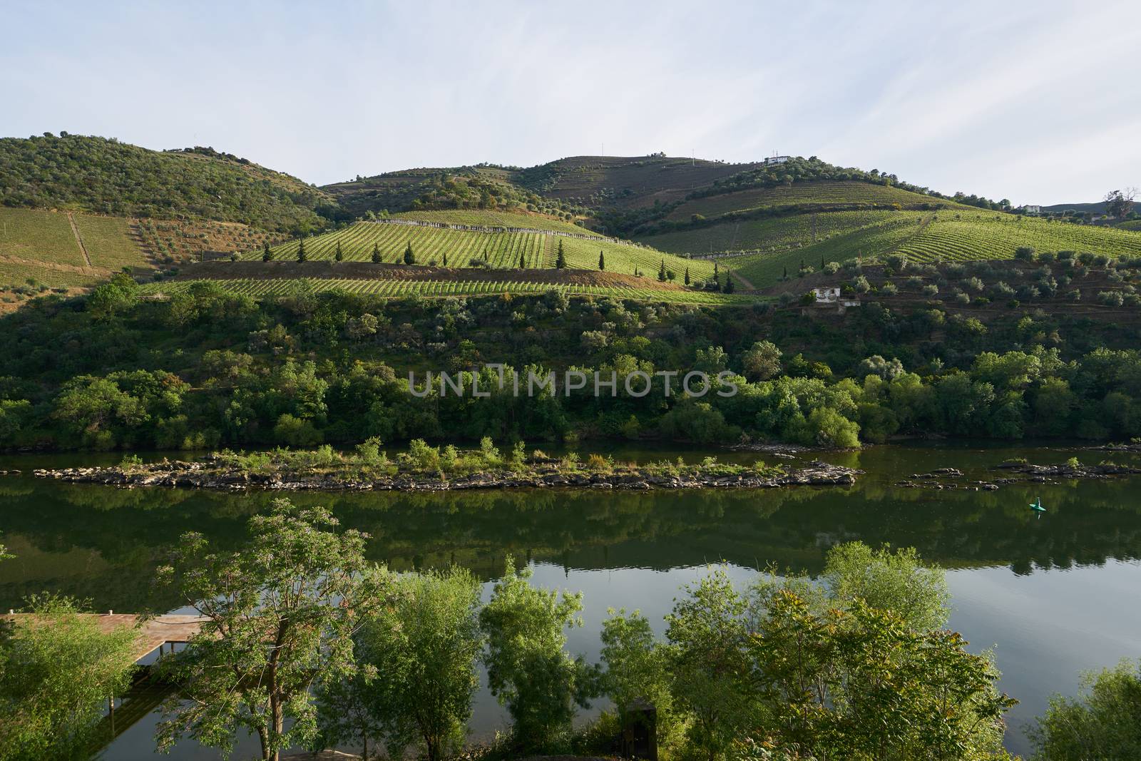 Douro river wine valley region in Portugal