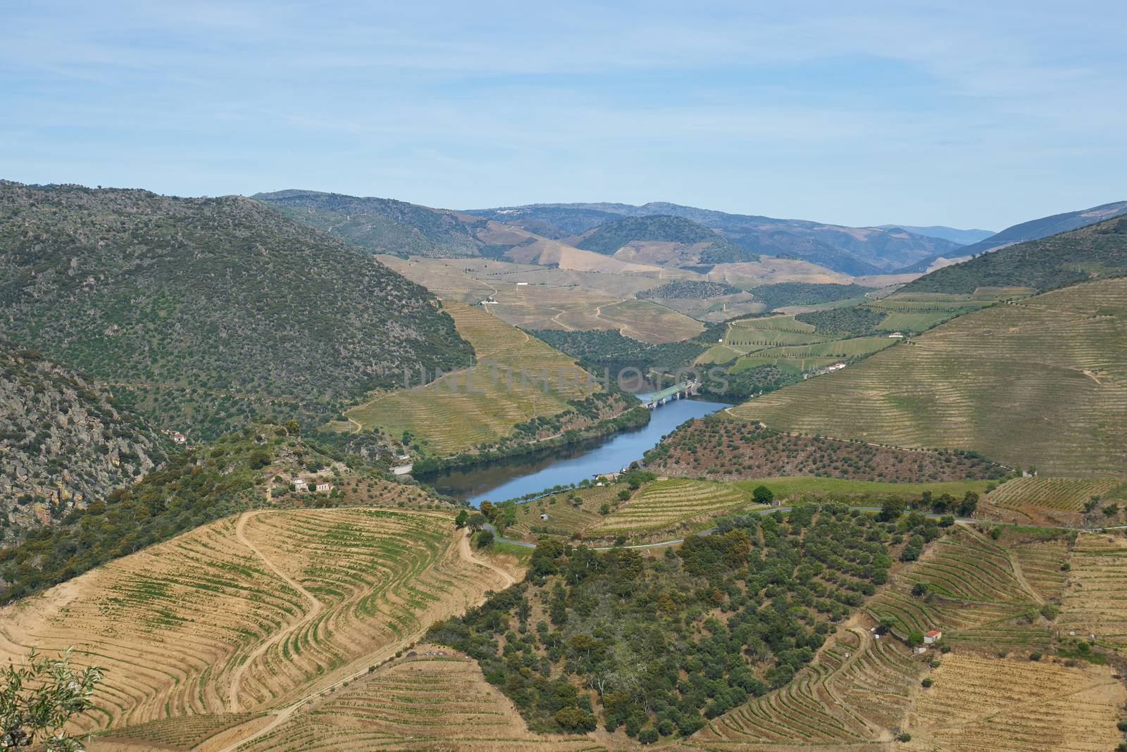 Douro river wine valley region in Portugal