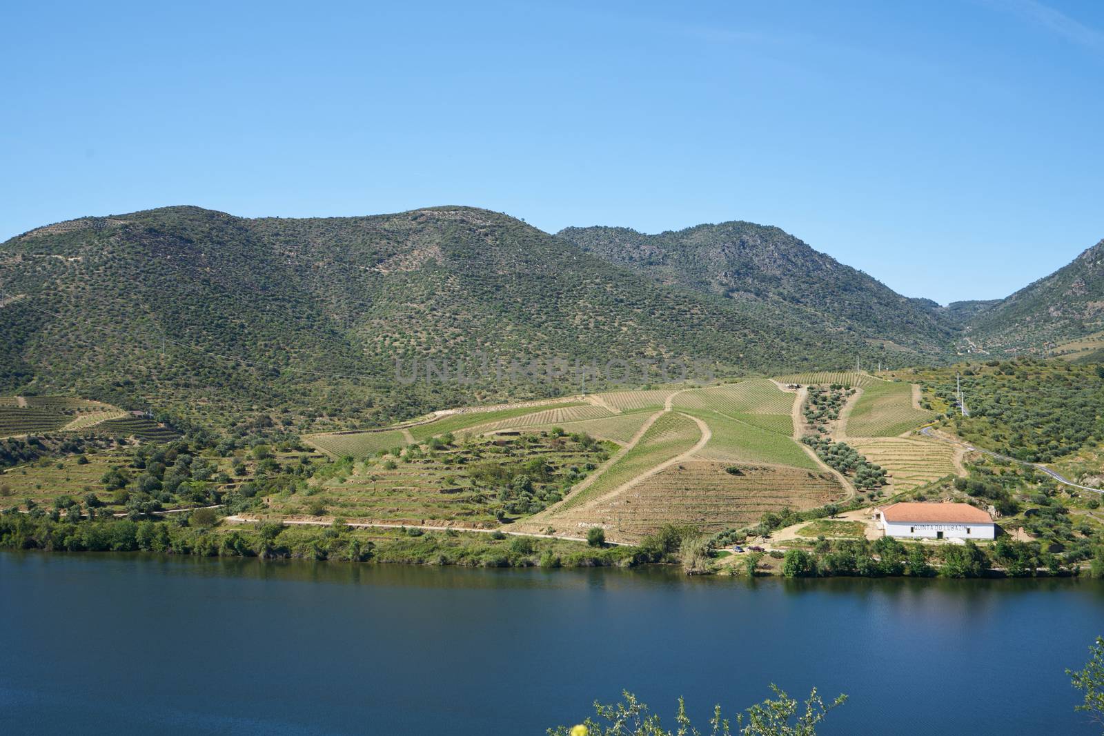 Douro river wine valley region in Portugal by Luispinaphotography