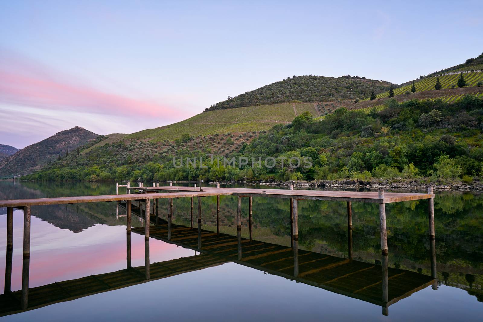 Douro river wine region vineyard landscape at sunset in Foz Tua, Portugal by Luispinaphotography