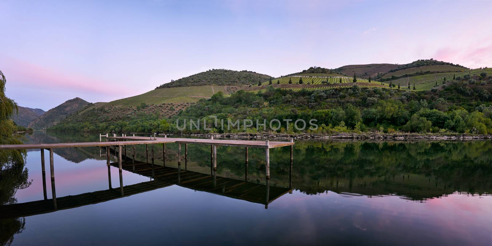 Douro river wine region vineyard panorama landscape at sunset in Foz Tua, Portugal by Luispinaphotography