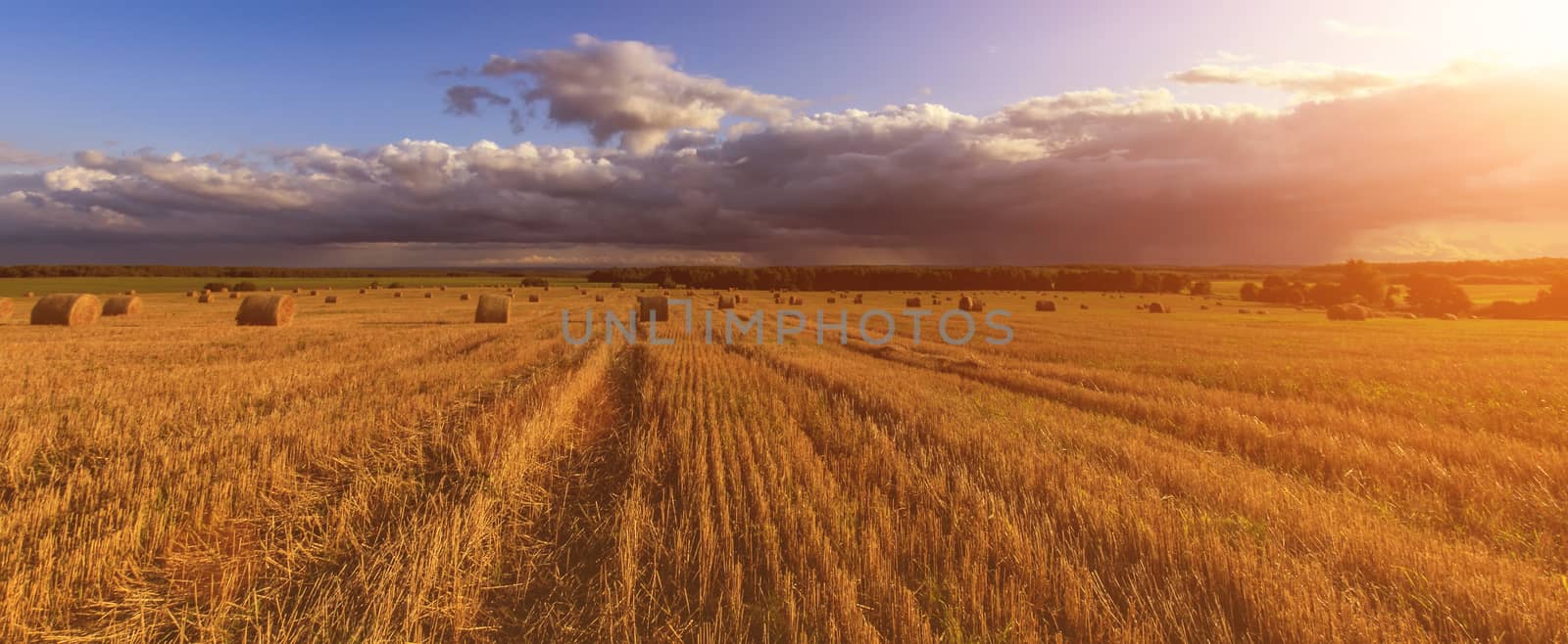 Scene with haystacks on the field in autumn sunny day. Rural landscape with cloudy sky background. Golden harvest of wheat in evening.