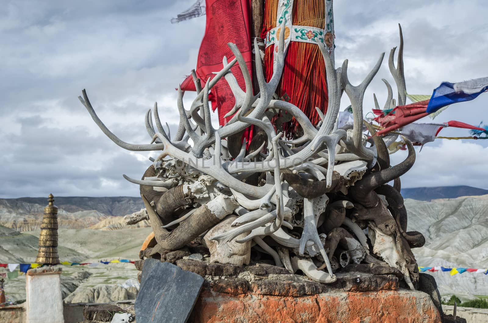 Horns, tusks and antlers of ancient dead animals on top of Lo Manthang king's palace roof, Upper Mustang, Nepal as a power symbol