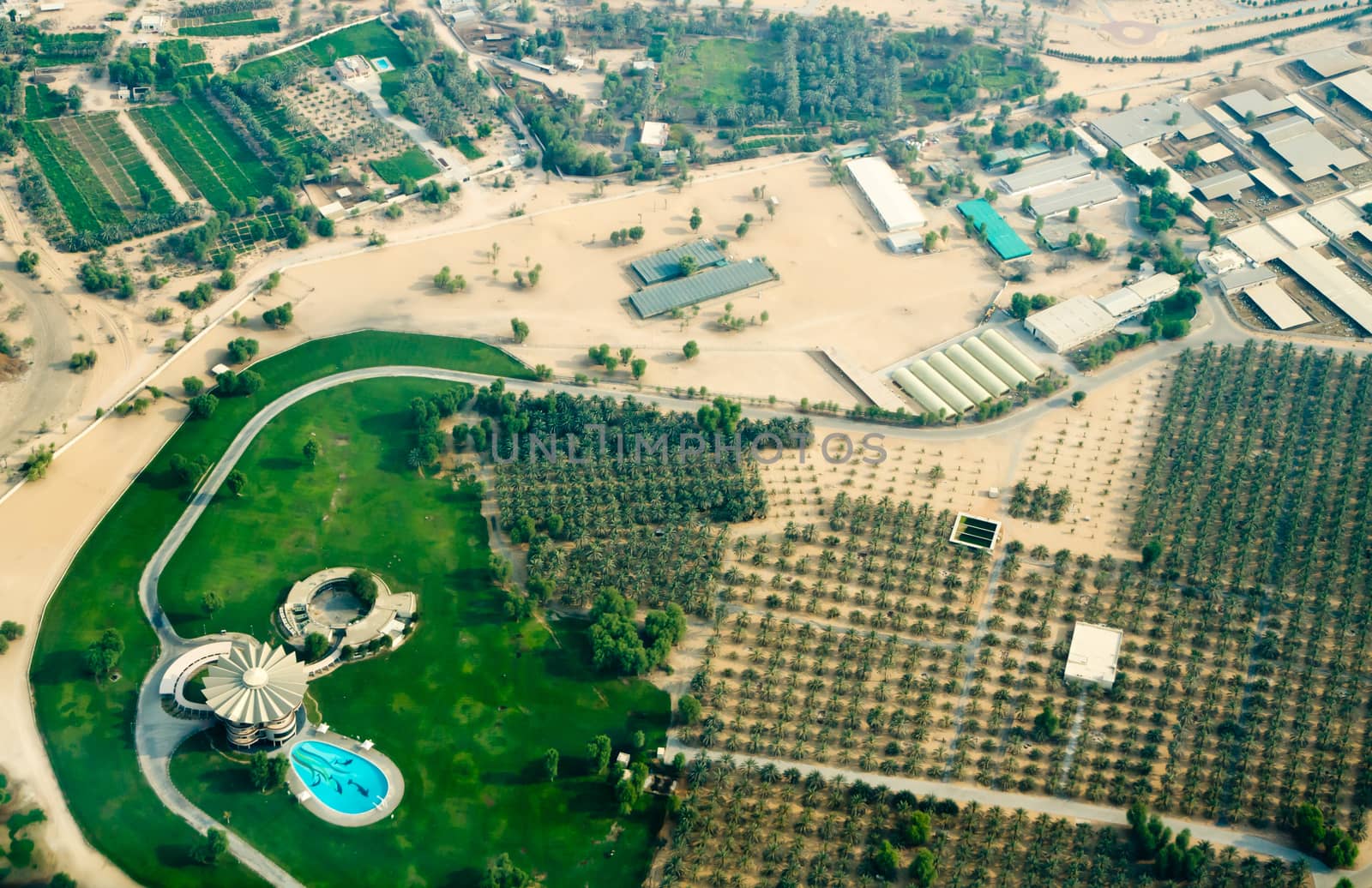 Aerial view of Dubai (United Arab Emirates). Looks like recreational center with palm plantation.