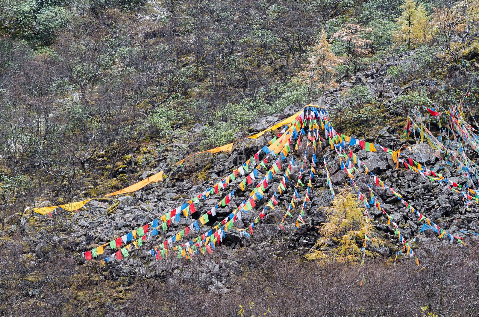 Tibetan prayer flags on a mountain slope at Huanglong, China by nemo269