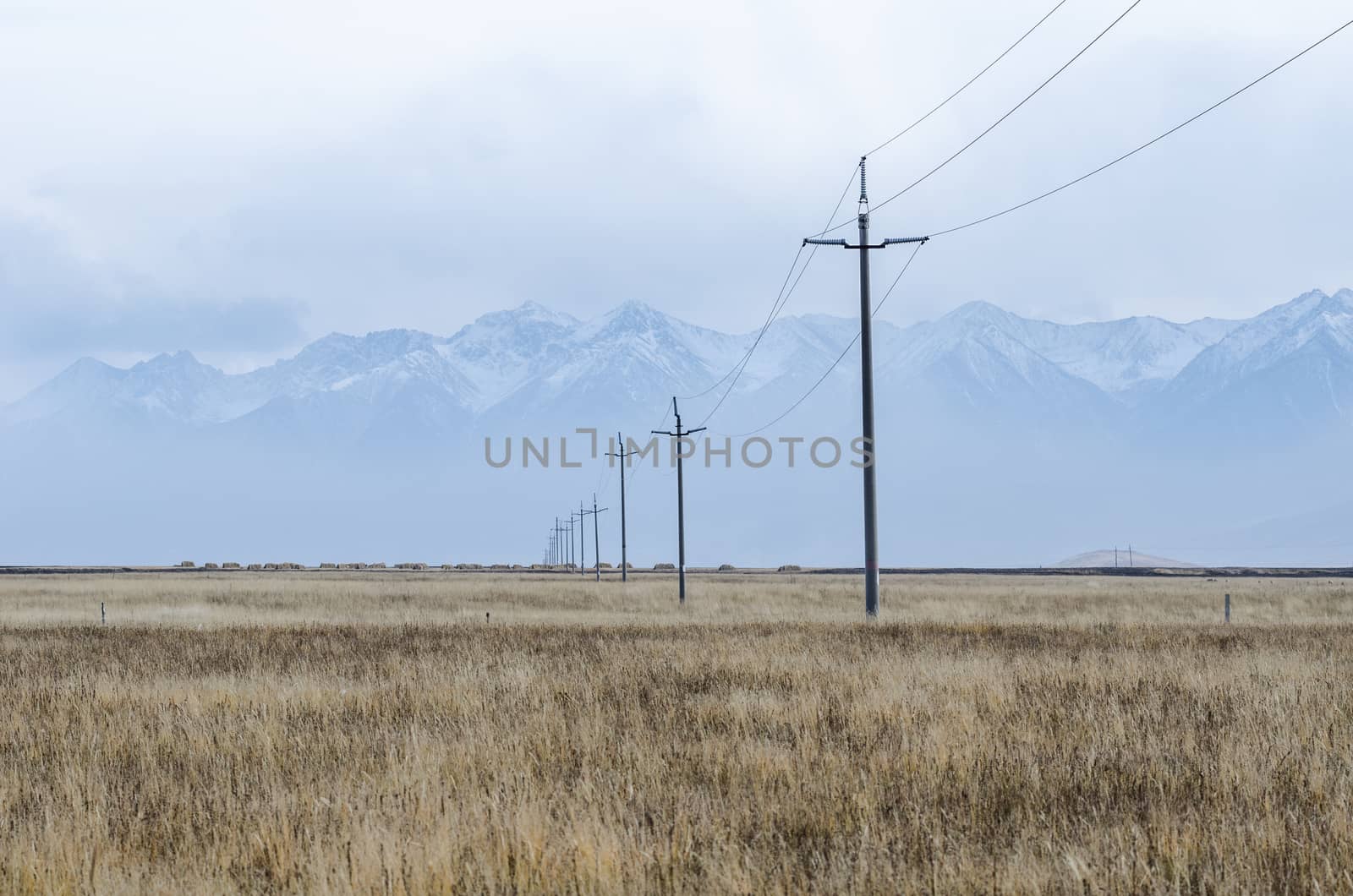 Electrical lines and pillars across the wild plain of upper Tibe by nemo269