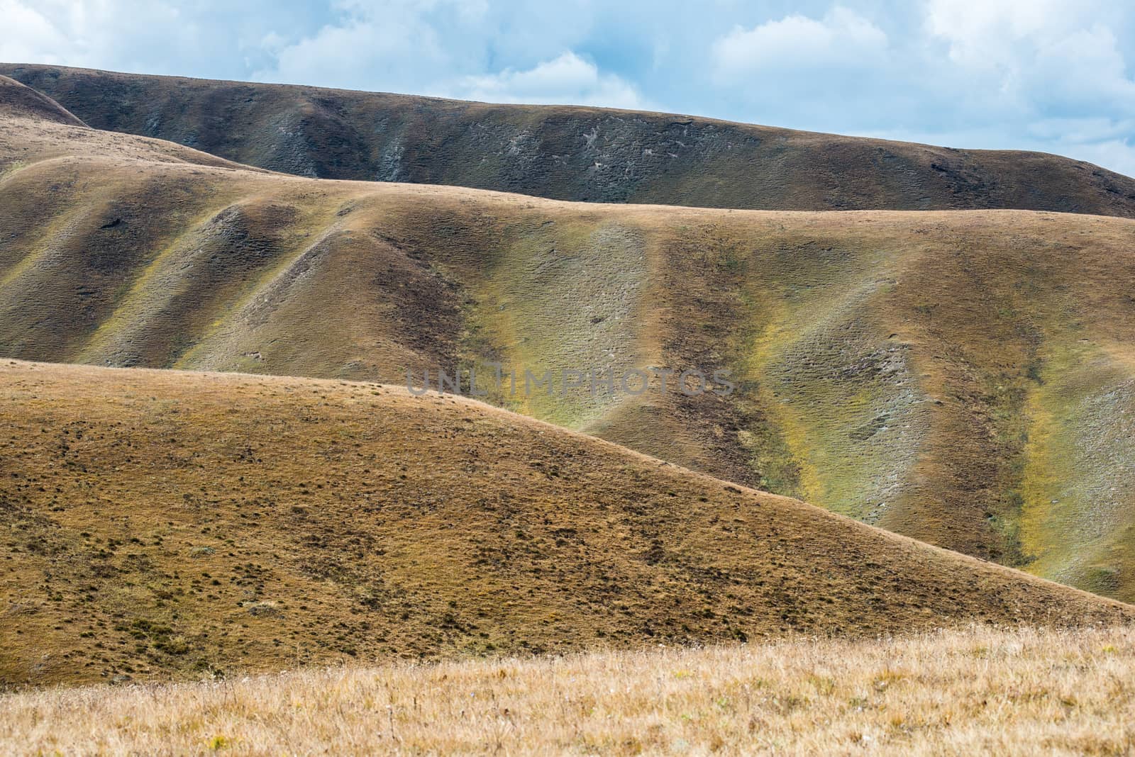 Impressive changes of grass color on Tibetan mountains slopes by nemo269