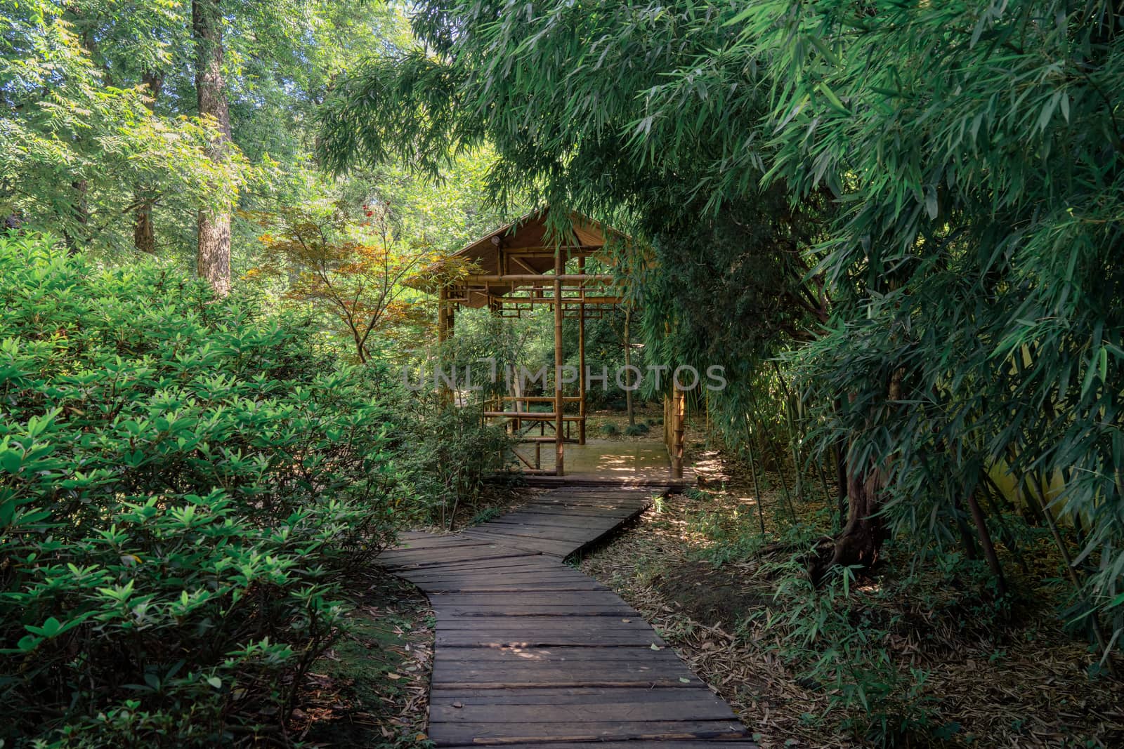 Ancient bamboo cabin and the path, Suzhou garden, in China. Photo in Suzhou, China.