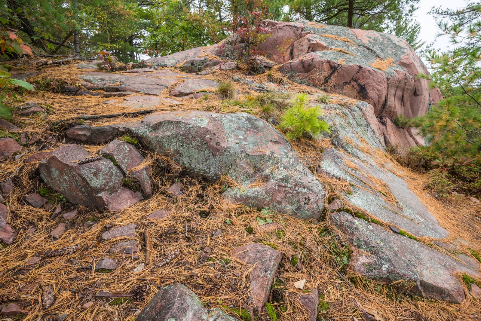 Close up view of geological structures and pink stones at Killarney Provincial Park, Canada