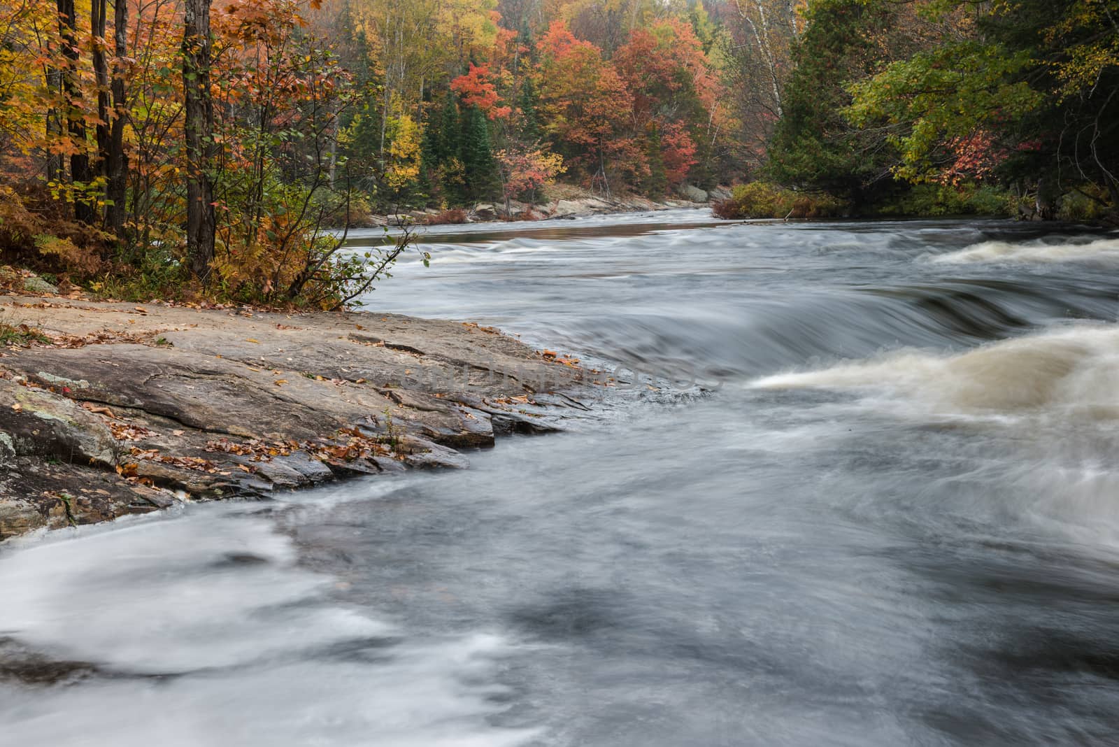 Small rapids and colorful autumn forest at Oxtongue river, Muskoka, Canada