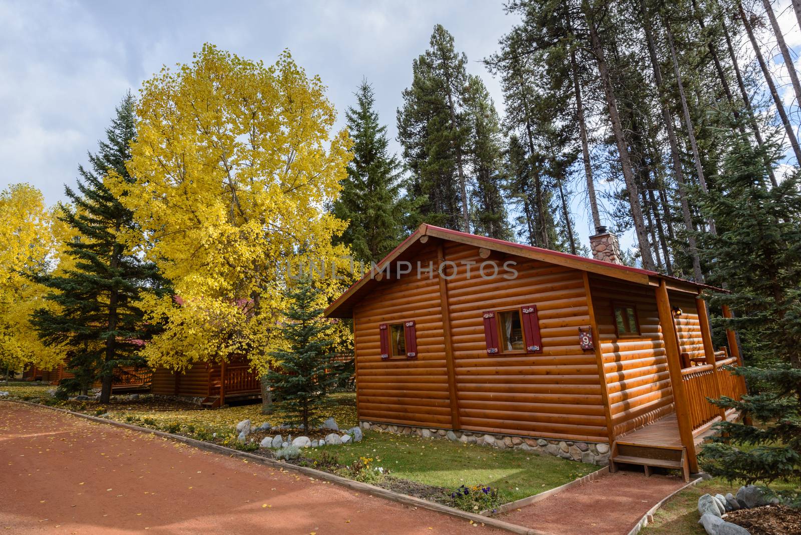 Comfortable quiet wooden hotel at the multicolored fall forest of Banff National Park