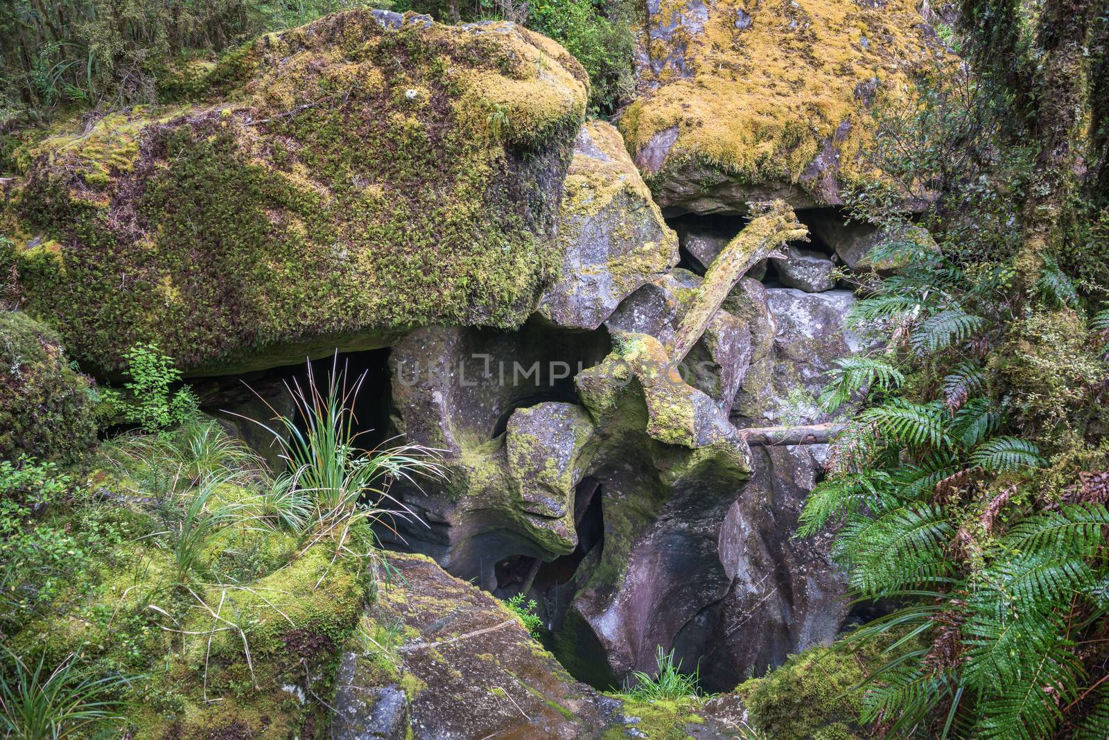 Eroded fancy rock formations at the Chasm Viewing Bridge at Milford Sound, New Zealand