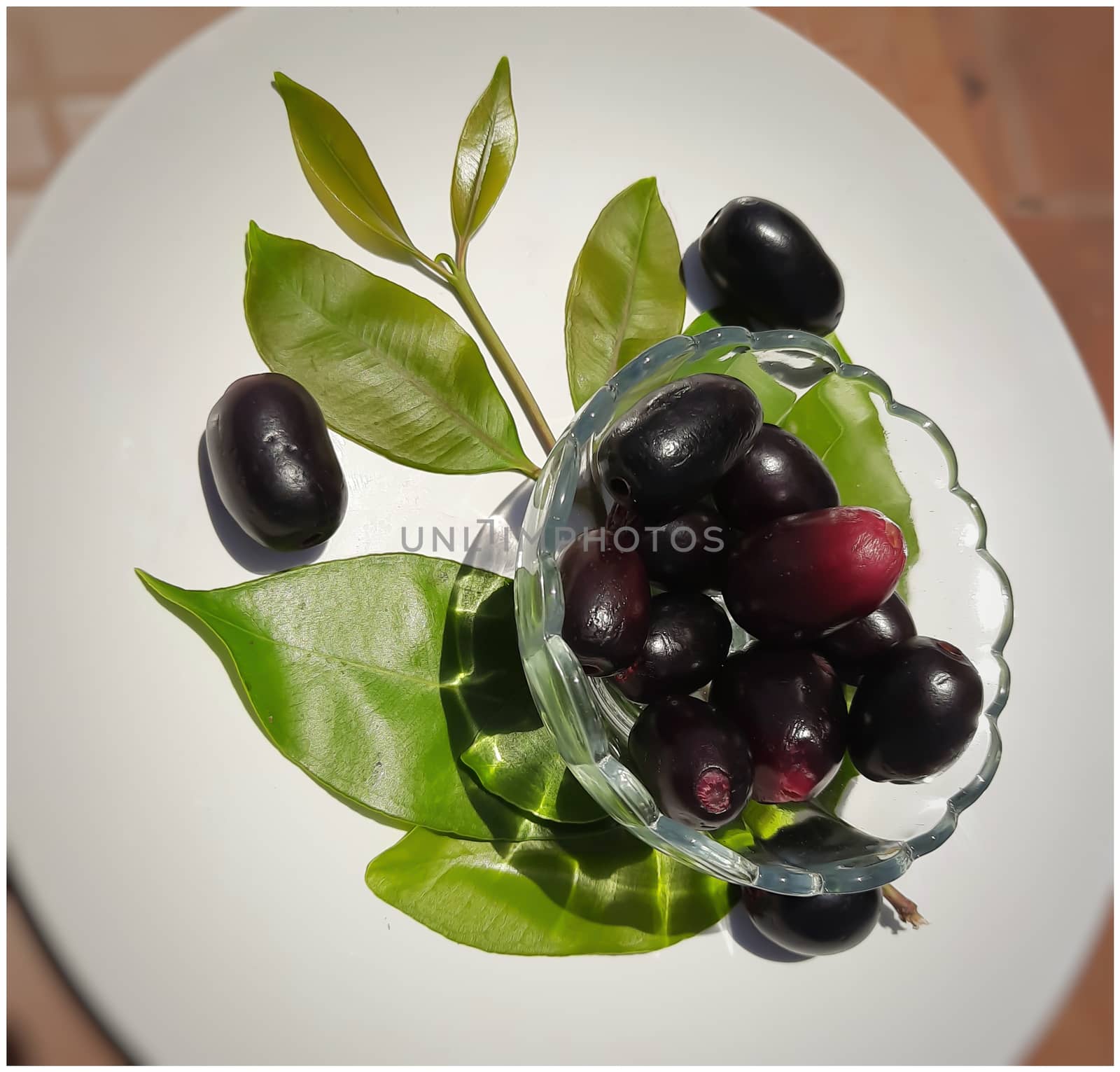 Black plum with its leaf contains vitamin C and iron hemoglobin heart healthy and treats diabetes summer season fruit