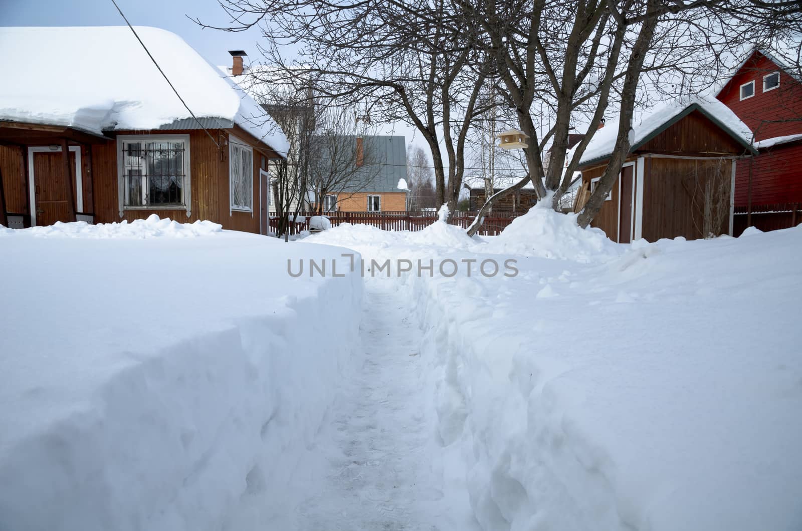 It is very snowy winter 2010-2011, so, we need to dig the track in the snow to get to cottage door